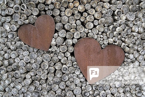 Hearts of metal in a stack of wood  AllgÃ¤u  Bavaria  Germany  Europe