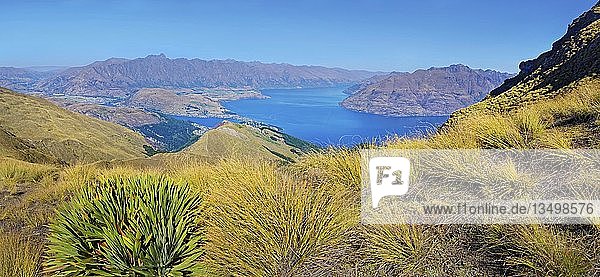 Panoramic view from summit of Ben Lomond  Lake Wakatipu  The Remarkables  Queenstown  Otago Region  South Island  New Zealand  Oceania