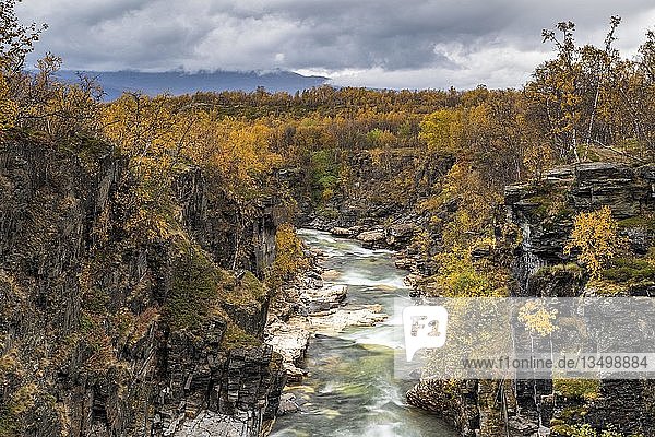 Abisko-Schlucht im Herbst  Fluss AbiskojÃ¥kka  Abiskojakka  Abisko-Nationalpark  Norrbotten  Lappland  Lappland  Schweden  Europa