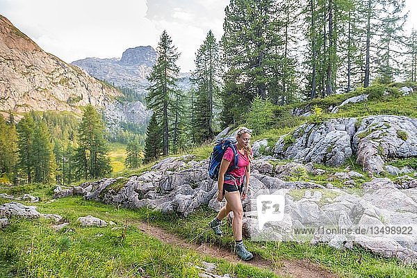 Hiker on the ascent  hiking trail to Feldkogel  Berchtesgaden National Park  Berchtesgadener Land  Upper Bavaria  Bavaria  Germany  Europe