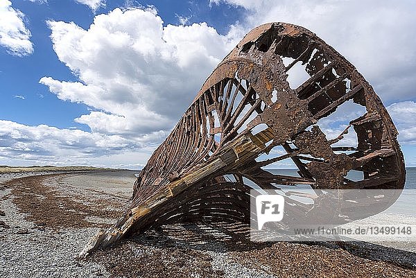 Wrack der Ambassador San Gregorio bei Punta Arenas Magellan Straße Patagonien Chile Südamerika