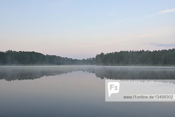 Morgennebel über einem See,  Biosphärenreservat Oberlausitzer Heide- und Teichlandschaft,  Sachsen,  Deutschland,  Europa