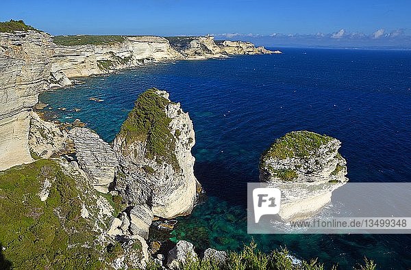 Grain du Sable  schroffe Kreidefelsen und türkisblaues Meer  Felsen  Bonifacio  Korsika  Frankreich  Europa
