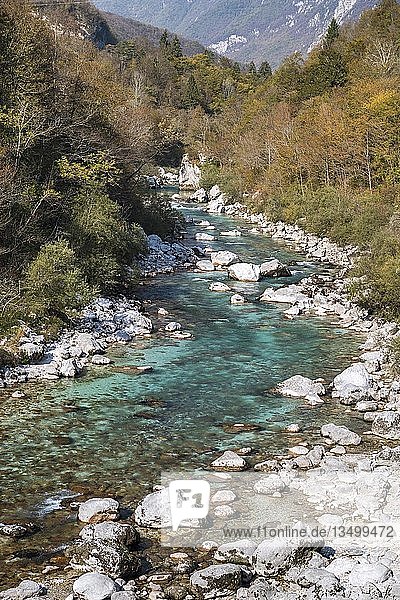 Soca-Fluss  herbstliches Soca-Tal  Kobarid  Slowenien  Europa