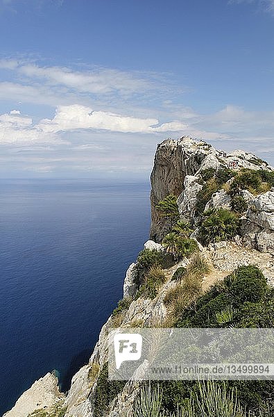 Lookout point  coastline  Cap de Formentor  Majorca or Mallorca  Spain  Europe