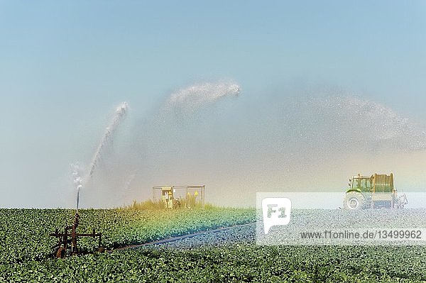 Arbeitende Bewässerungsanlage auf einem Feld Grevenbroich Nordrhein-Westfalen Deutschland Europa