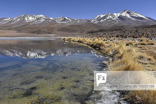 Laguna Cañapa Hochanden Altiplano Potosi Uyuni Bolivien Südamerika