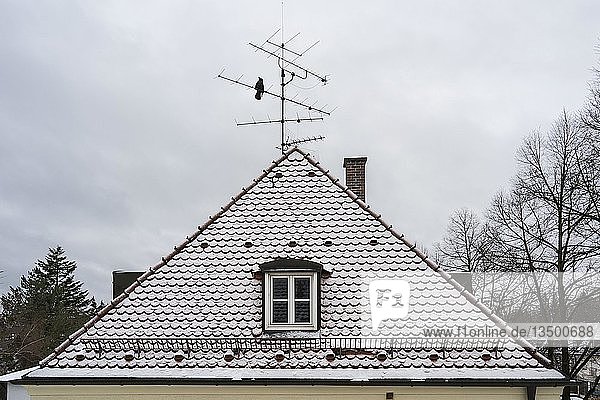 Hausdach mit Biberschwanzziegeln und Schnee im Winter  München  Oberbayern  Bayern  Deutschland  Europa