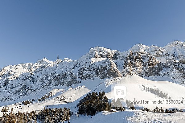 Säntis-Massiv im Winter mit Mt. Säntis  2500m  Appenzeller Alpen  Kanton Appenzell-Innerrhoden  Schweiz  Europa