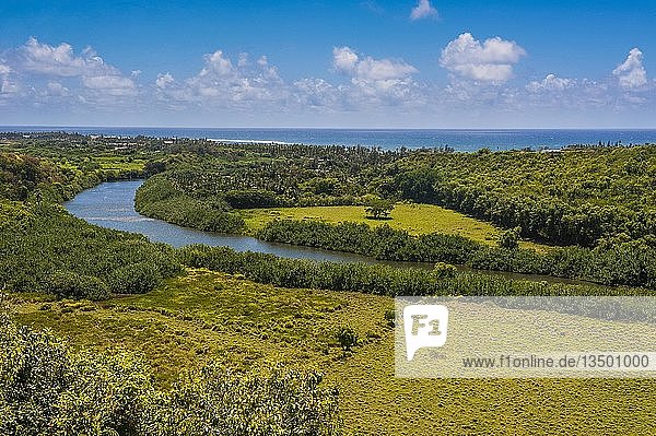 Wailua River in grüner Landschaft Kauai Hawaii USA Nordamerika