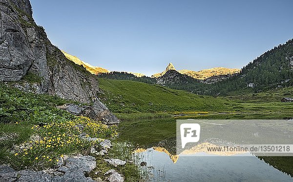 Schottmalhorn spiegelt sich im Funtensee bei Sonnenuntergang  Steinernes Meer  Nationalpark Berchtesgaden  Bayern  Deutschland  Europa