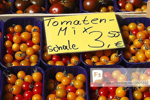Frische bunte Tomaten (Solanum lycopersicum) in Bechern mit Preisschild an einem Marktstand  Bremen  Deutschland  Europa