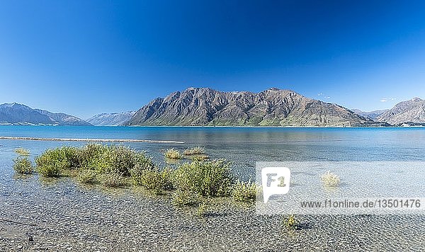 Lake Hawea  klarer See mit Bergen  Region Otago  Südinsel  Neuseeland  Ozeanien