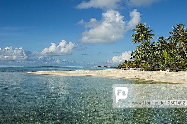 Palmengesäumter weißer Sandstrand im türkisfarbenen Wasser von Tikehau  Tuamotu-Archipel  Französisch-Polynesien  Ozeanien
