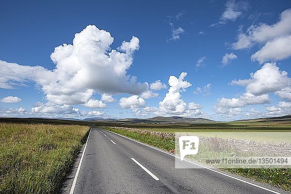 Einspurige Straße und Weiden  Orkney Inseln  Schottland  Vereinigtes Königreich  Europa