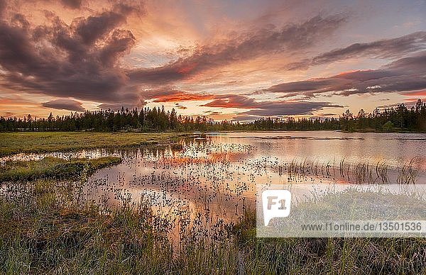 Sonnenuntergang  orange Wolken spiegeln sich im See  Wald  Feuchtgebiet  Moor  KittilÃ¤  Lappi  Finnland  Finnland  Europa
