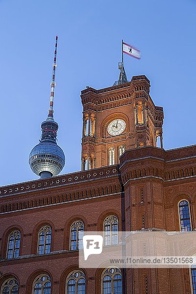 Rotes Rathaus und Fernsehturm Alexanderplatz  Berlin-Mitte  Berlin  Deutschland  Europa