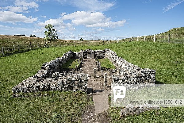 Tempel des Mithras aus dem 3. Jahrhundert  Hadrianswall  Carrawburgh  Northumberland  England  Vereinigtes Königreich  Europa