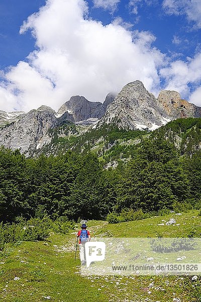 Female hiker in Kukaj Valley with Jezerca  Maja e Jezercës  Valbona National Park  Albanian Alps  Prokletije  Qar Kukes  Albania  Europe