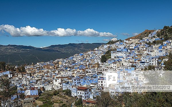 Blick auf blaue HÃ?user der Medina von Chefchaouen  Chaouen  Riffgebirge  Tanger-TÃ©touan  Marokko  Afrika