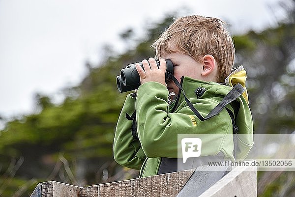 Interessierter Junge schaut durch ein Fernglas Punta Arenas Patagonien Chile Südamerika