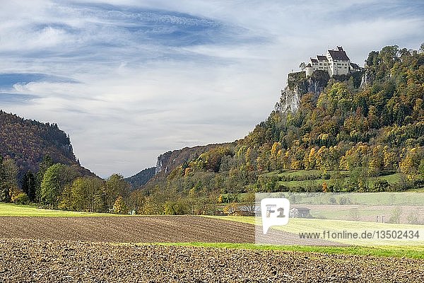 Landwirtschaftliche Flächen im Oberen Donautal  Schloss Werenwag  rechts  hoch oben auf einem Felsen  Baden-Württemberg  Deutschland  Europa