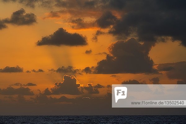 Sonnenuntergang mit Wolken über dem Meer  Teneriffa  Kanarische Inseln  Spanien  Europa
