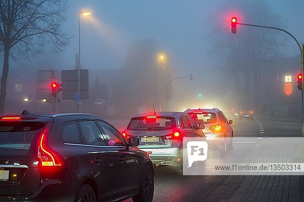 Autoverkehr Autos an der roten Ampel bei Nebel abends Grevenbroich Nordrhein-Westfalen Deutschland Europa