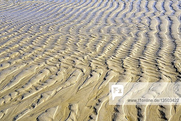 Wellenstruktur im Sand bei Ebbe  der Strand von Rantum  Sylt  Nordfriesische Inseln  Nordfriesland  Schleswig-Holstein  Deutschland  Europa