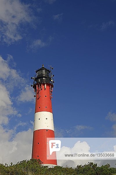 Leuchtturm HÃ¶rnum  Sylt  Nordfriesische Inseln  Nordfriesland  Schleswig-Holstein  Deutschland  Europa