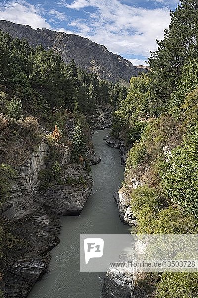 Blick in Canyon des Shotover River Queenstown Otago Südinsel Neuseeland Ozeanien