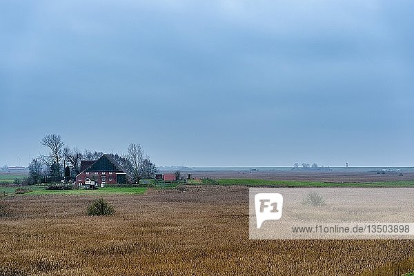 Bauernhof in der Marsch hinter dem Pilsumer Leuchtturm Greetsiel Krummhörn Niedersachsen Deutschland Europa
