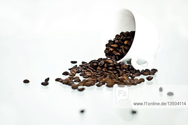 Kaffeebohnen fallen aus einer weißen Tasse