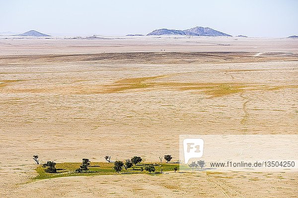 Luftaufnahme  grüne Oase in der Namib-Wüste  Namib-Naukluft-Nationalpark  Namibia  Afrika