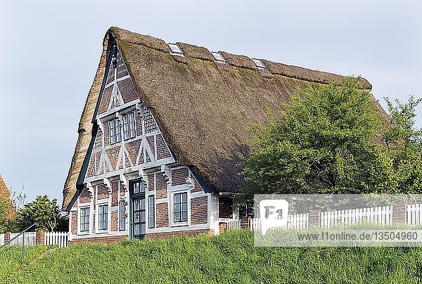 AltlÃ¤nder Bauernhaus  Fachwerkhaus mit Reetdach  Mittelkirchen  LÃ¼he  Altes Land  Niedersachsen  Deutschland  Europa