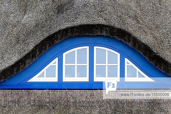 Gaubenfenster eines Reetdachhauses auf der Insel Hiddensee Mecklenburg-Vorpommern Deutschland Europa