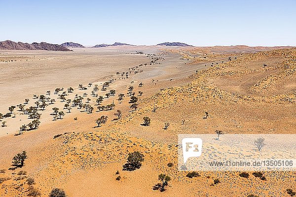 Luftaufnahme  überwucherte Dünen  Ausläufer der Namib-Wüste  Namib-Naukluft-Nationalpark  Namibia  Afrika