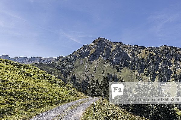 Hiking trail with view of Mount Arvigrat  Nidwalden  Switzerland  Europe