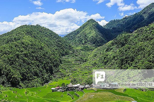 Bangaan in the rice terraces of Banaue  Northern Luzon  Philippines  Asia