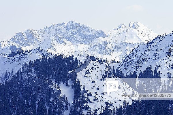 Österreichische und Bayerische Schinder im Winter  Mangfallgebirge  Bayern  Tirol  Deutschland  Österreich  Europa