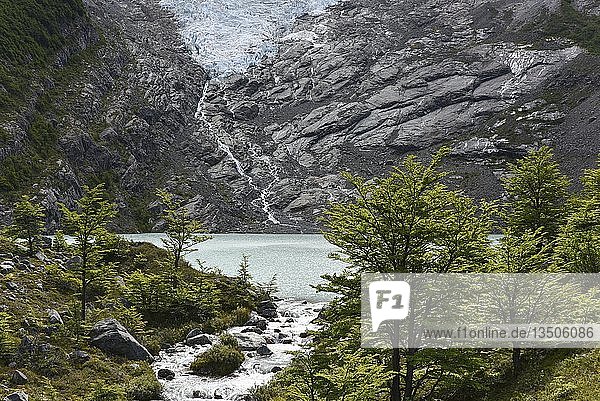 Schmelzender Gletscher mit See und Wald Glaciar Huemulam Lago del Desierto bei El Chalten Patagonien Argentinien Südamerika