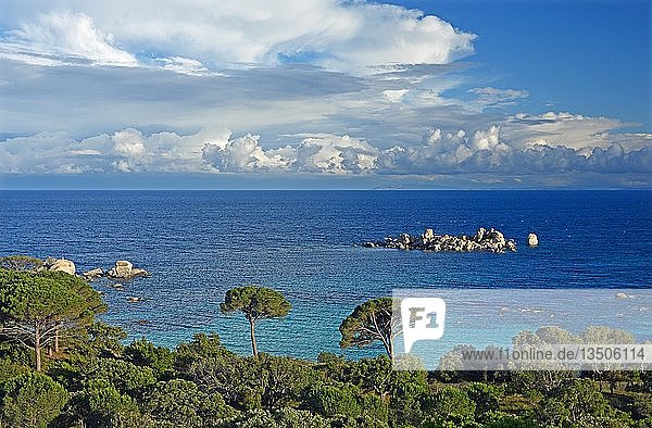 Bucht von Palombaggia mit türkisblauem Meer  Porto Vecchio  Departement Corse-du-Sud  Korsika  Frankreich  Europa