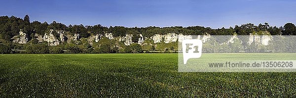 Felsformation Zwölf Apostel mit einer grünen Wiese  Naturpark Altmühltal  bei Solhofen  Bayern  Deutschland  Europa