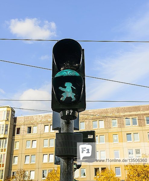 Ampel  Fußgängerampel  Ampel mit grünem Ampelmännchen für Fußgänger  Dresden  Sachsen  Deutschland  Europa