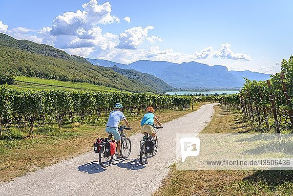 Two cyclists with mountain bike  on the Via Claudia Augusta cycle path  crossing the Alps  between vineyards  vineyards  Lake Caldaro  Caldaro  Trentino  South Tyrol  Italy  Europe