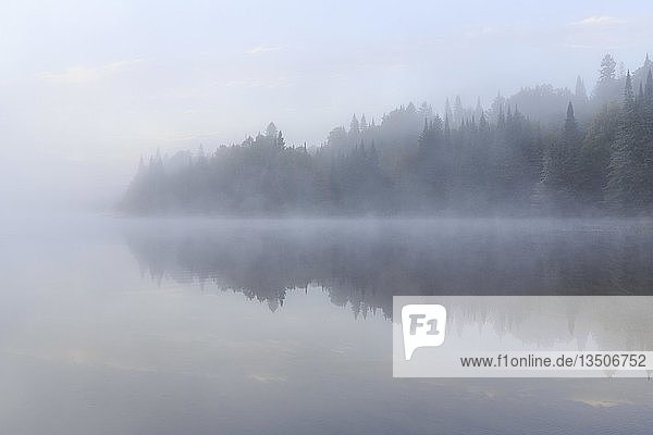 Morning mist  Lac Lajoie  Mont Tremblant National Park  Quebec Province  Canada  North America