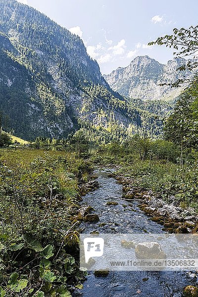 Fluss flieÃŸt durch Sumpf  KÃ¶nigssee  Berchtesgaden  Oberbayern  Bayern  Deutschland  Europa