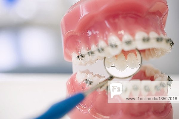 Modell von Zähnen mit einem Zahnspiegel auf einem Regal in einer Zahnarztpraxis  Deutschland  Europa