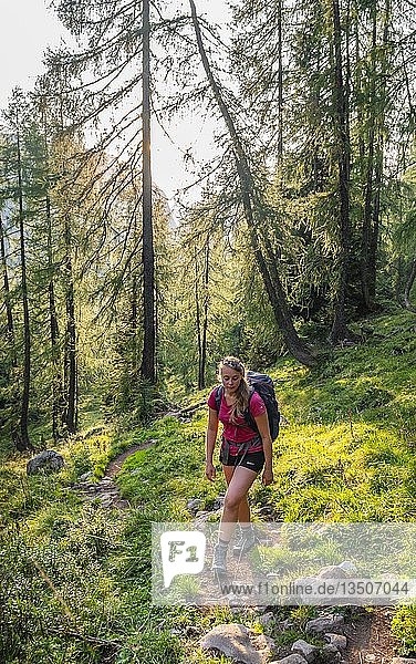 Wanderer beim Aufstieg  Wanderweg zum Feldkogel  Nationalpark Berchtesgaden  Berchtesgadener Land  Oberbayern  Bayern  Deutschland  Europa