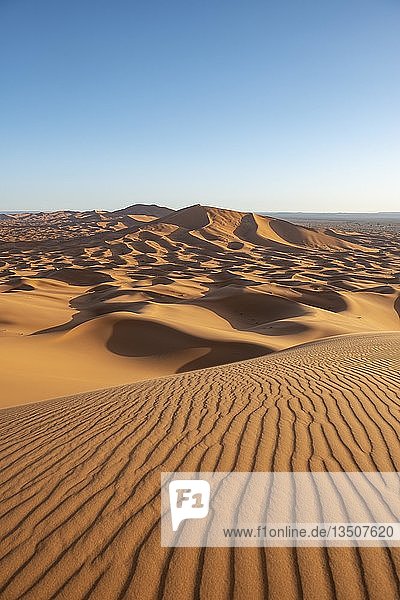 Sanddünen in der Wüste  Wellenmuster im Sand  Dünenlandschaft Erg Chebbi  Merzouga  Sahara  Marokko  Afrika